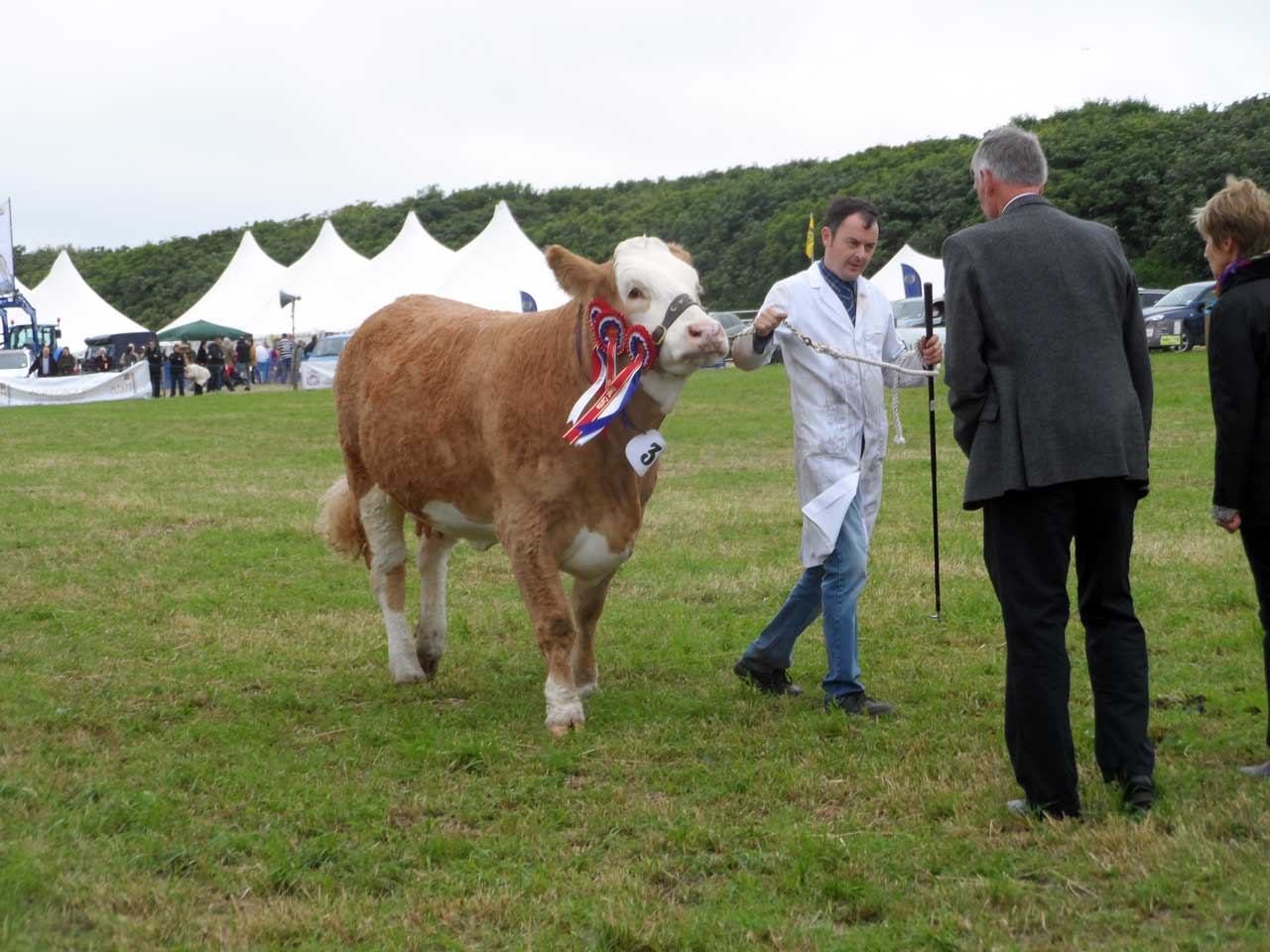 Photo: Caithness County Show 2014 - Saturday