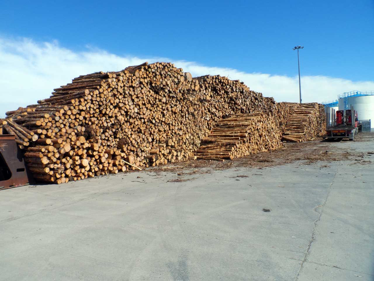 Photo: Increasing Timber Shipments From Wick Harbour