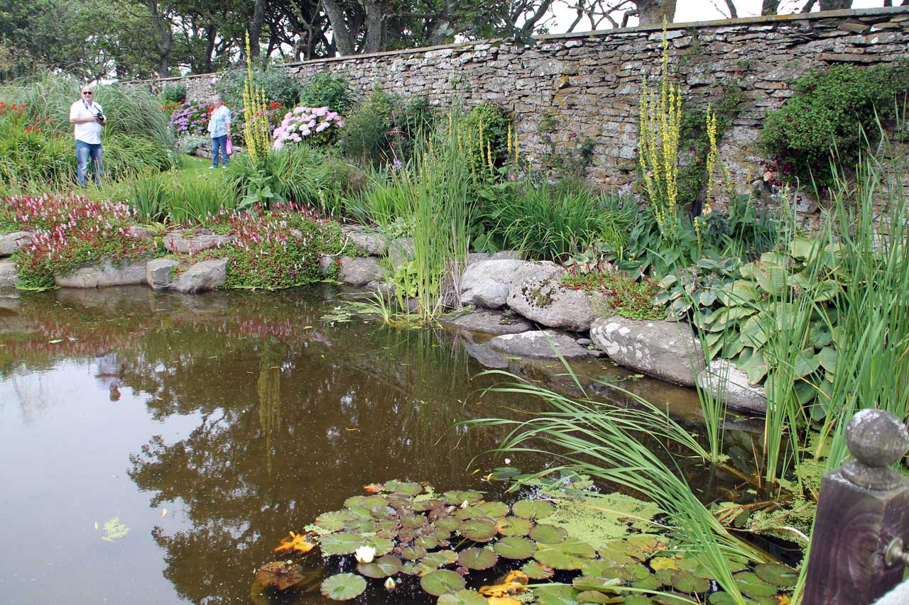 Photo: Dunbeath Castle Gardens Open Day 2014