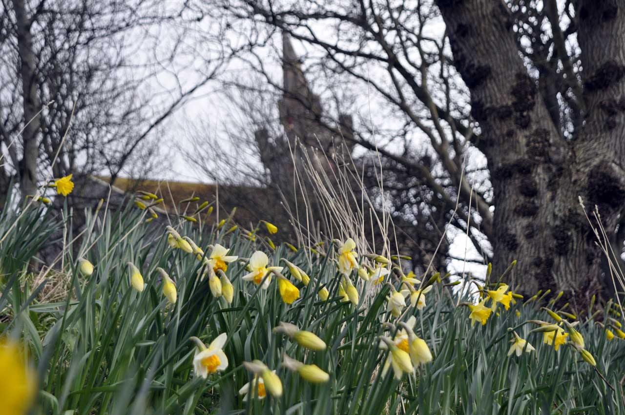 Photo: Action And Colour For Springtime In Caithness