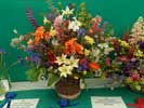 Caithness county Show 2015 - Flower Show