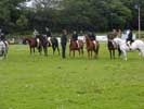 Caithness county Show 2015 - more Horses