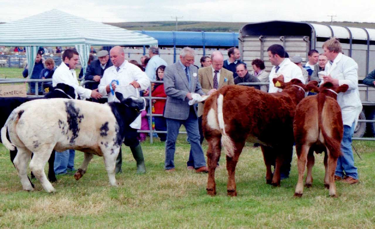 Photo: Caithness County Show - Do You Know The Year
