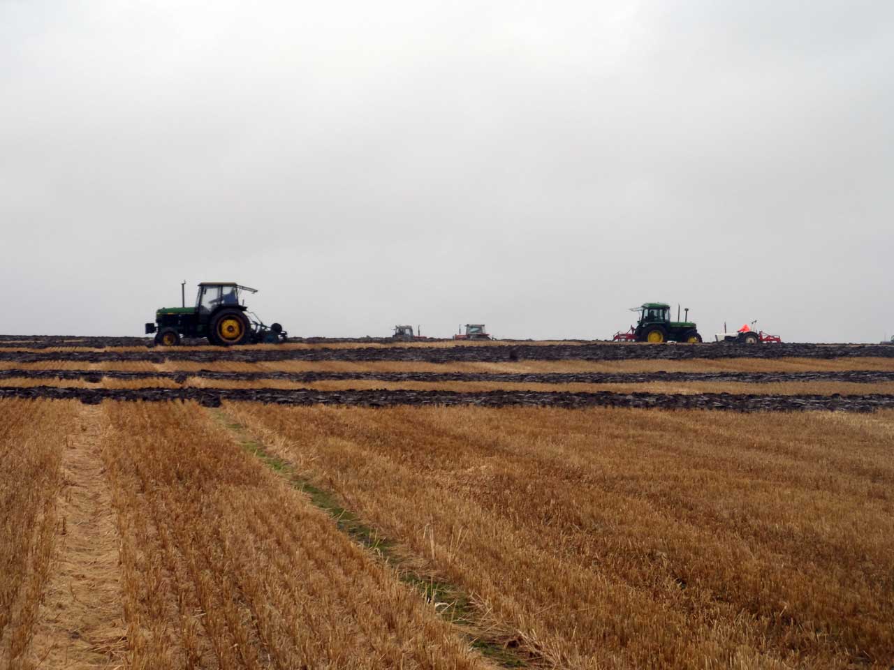 Photo: North and West Caithness Ploughing Association 27th Competition 2016