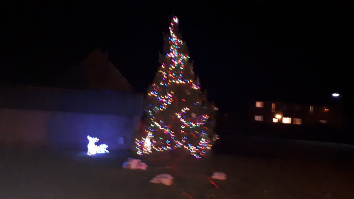 Photo: Christmas Tree And Carols At Town and County Hospital
