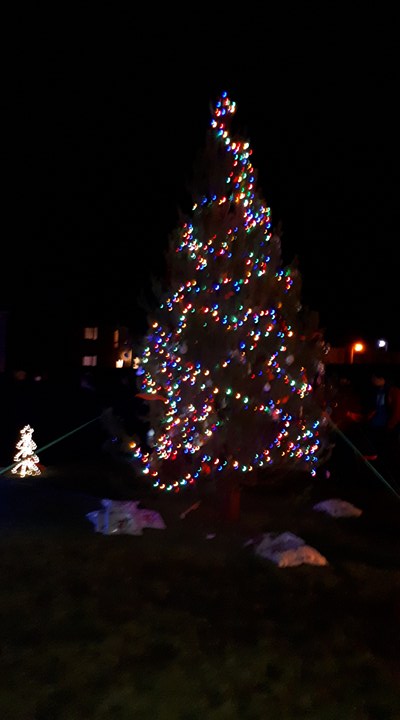 Photo: Christmas Tree And Carols At Town and County Hospital