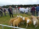 Caithness County Show 2018 - Saturday