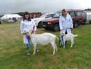 Caithness county Show 2018 - Saturday