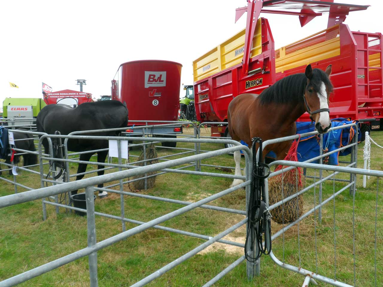 Photo: Caithness County Show 2018 - Saturday
