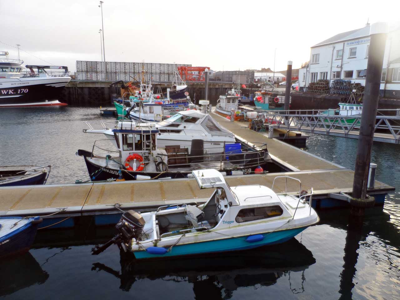 Photo: Scrabster Harbour At The End Of 2019