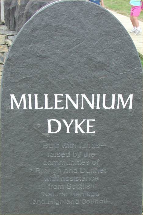 Photo: Millennium Dyke