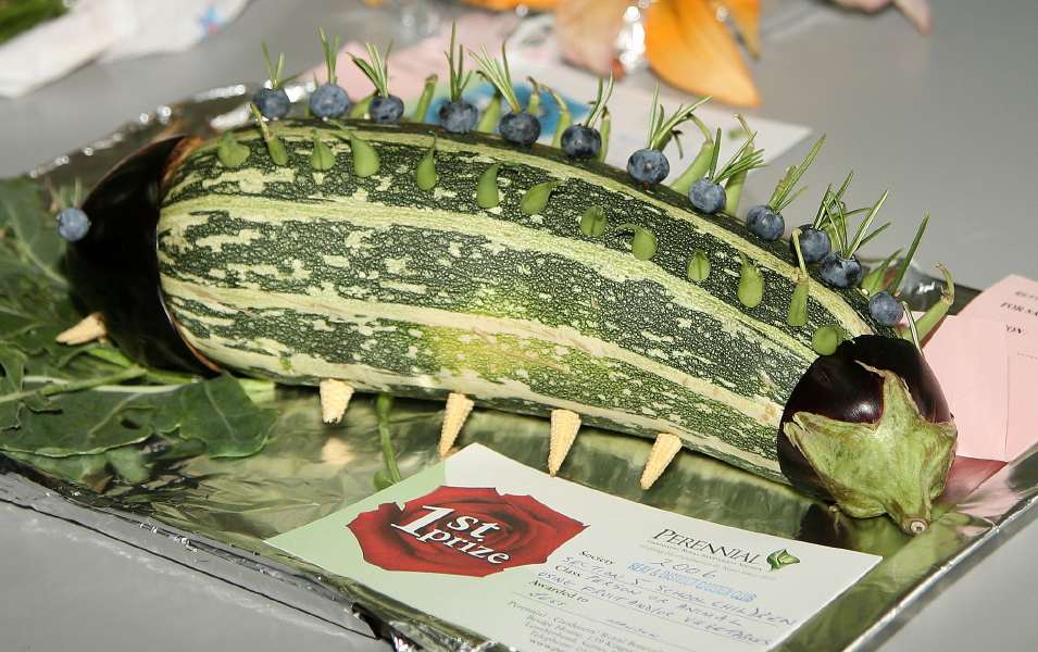 Photo: Reay Horticultural Show 2006