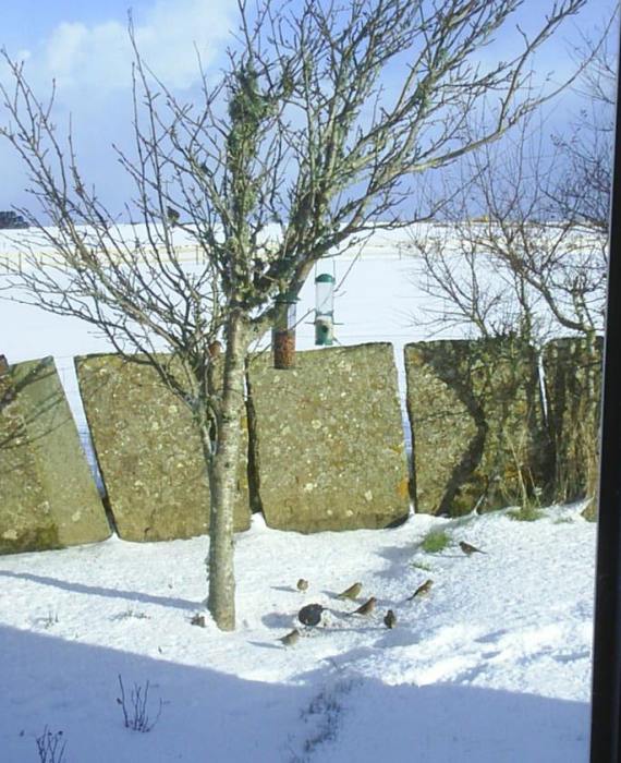 Photo: Winter Scene In Caithness - Lunchtime 2 March 2006