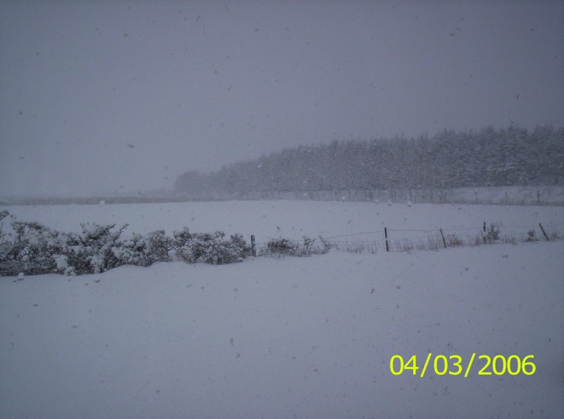 Photo: Snow At Newtonhill Near Wick