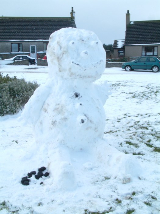 Photo: Winter Finally Comes To Caithness - Snowman At Thrumster