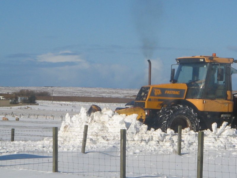 Photo: Sandy Cormack At huna Clearing Snow