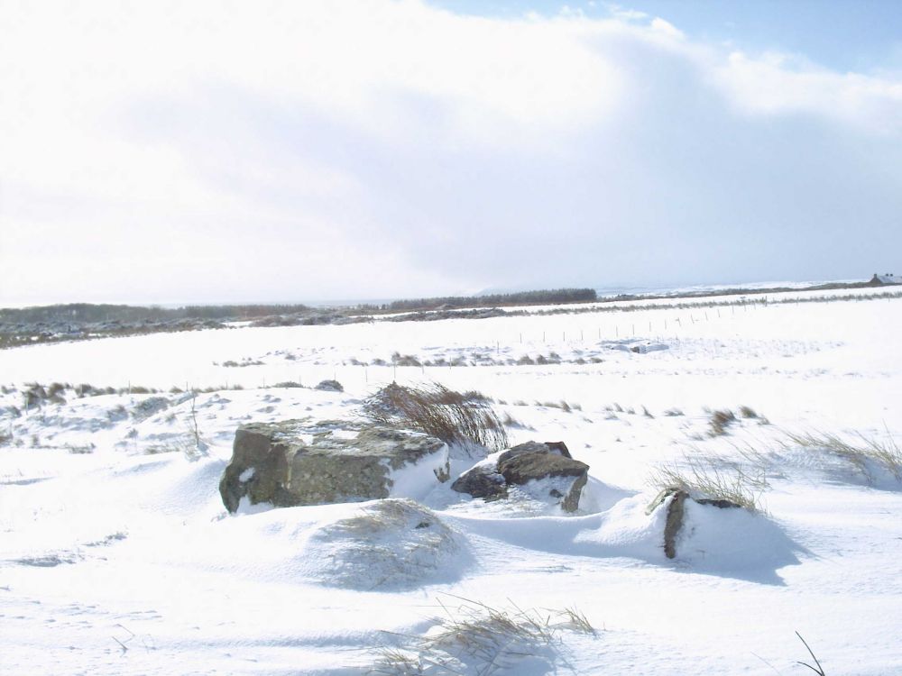 Photo: Winter Scene In Caithness - Upper Lybster 2 March 2006