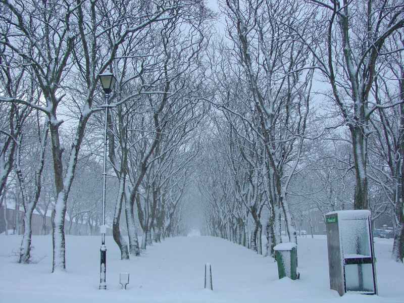 Photo: Winter Scene In Caithness - Argyle Square, Wick 4 March 2006 7.40am