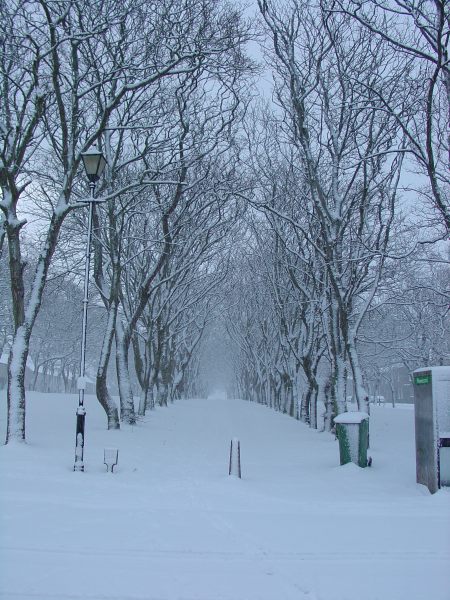 Photo: Winter Scene In Caithness - Argyle Square, Wick 4 March 2006 740am