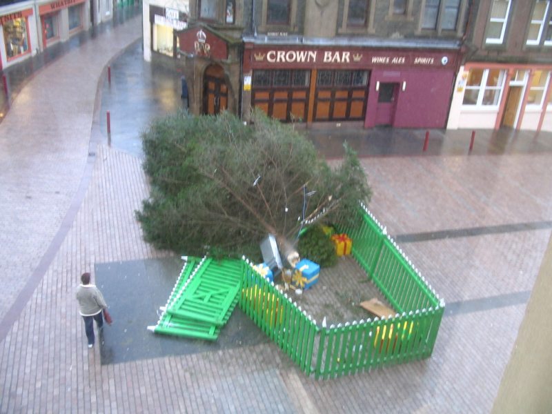 Photo: Wick Christmas Tree Snaps In High Wind