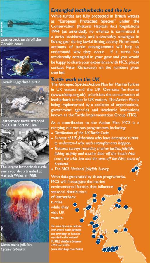 Photo: Part of Turtles In Scotland Leaflet From Scottish Natural Heritage
