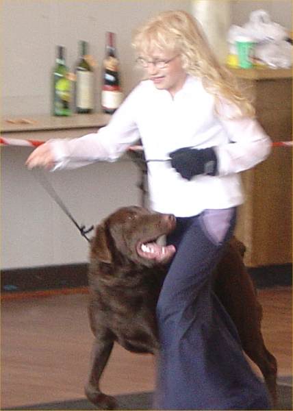 Photo: Caithness Canine Club 2004 Dog Show