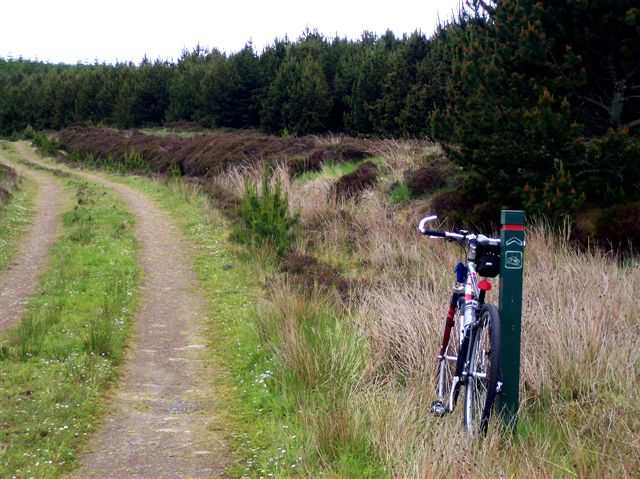 Photo: Camster Cycle Trail
