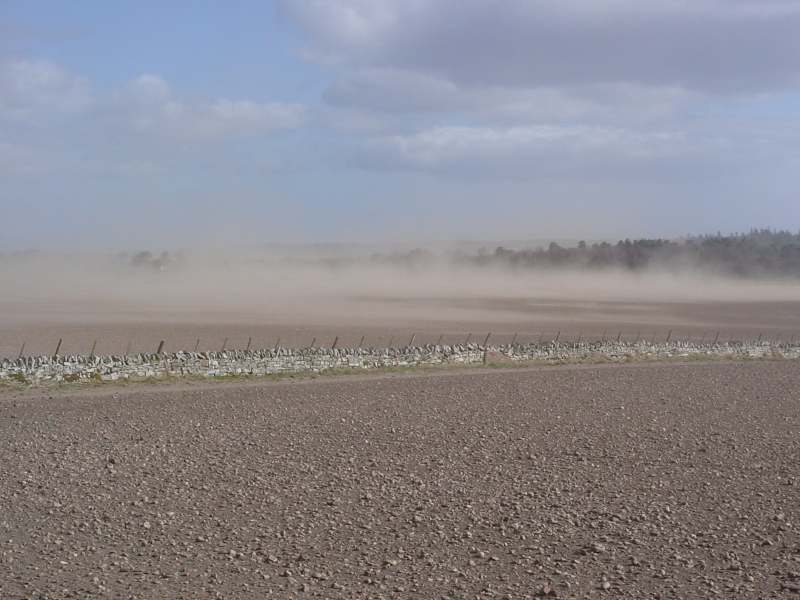 Photo: Dust  Blowing In The Wind