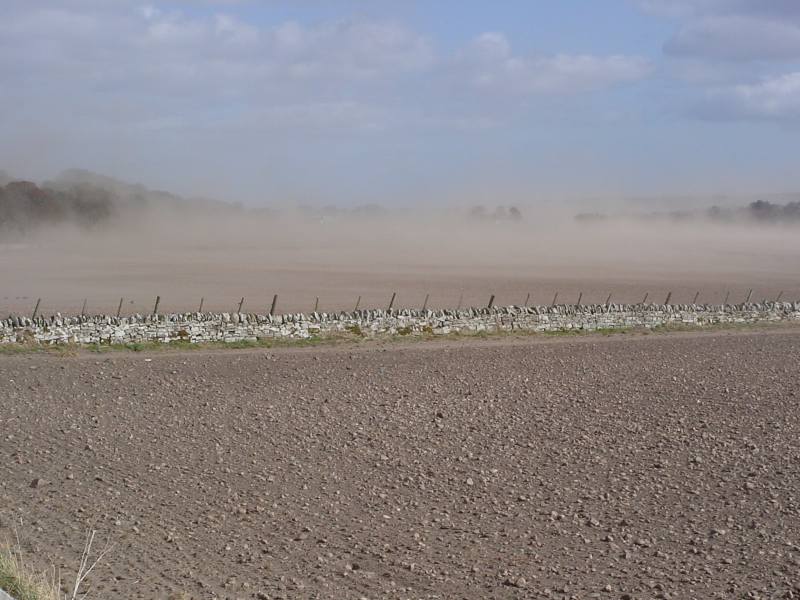 Photo: Dust  Blowing In The Wind