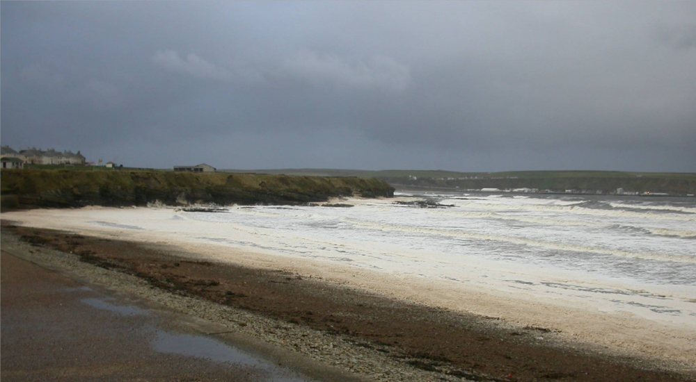 Photo: Windy Weather - 26 November 2005