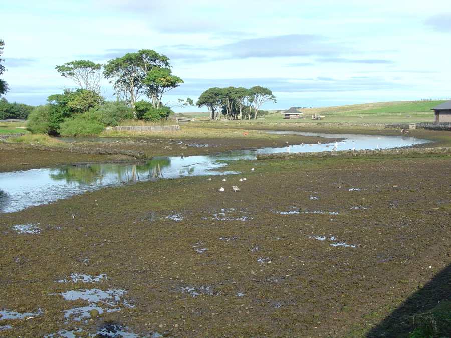 Photo: Wick River Very Low