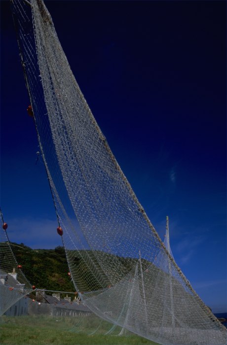 Photo: Salmon Nets