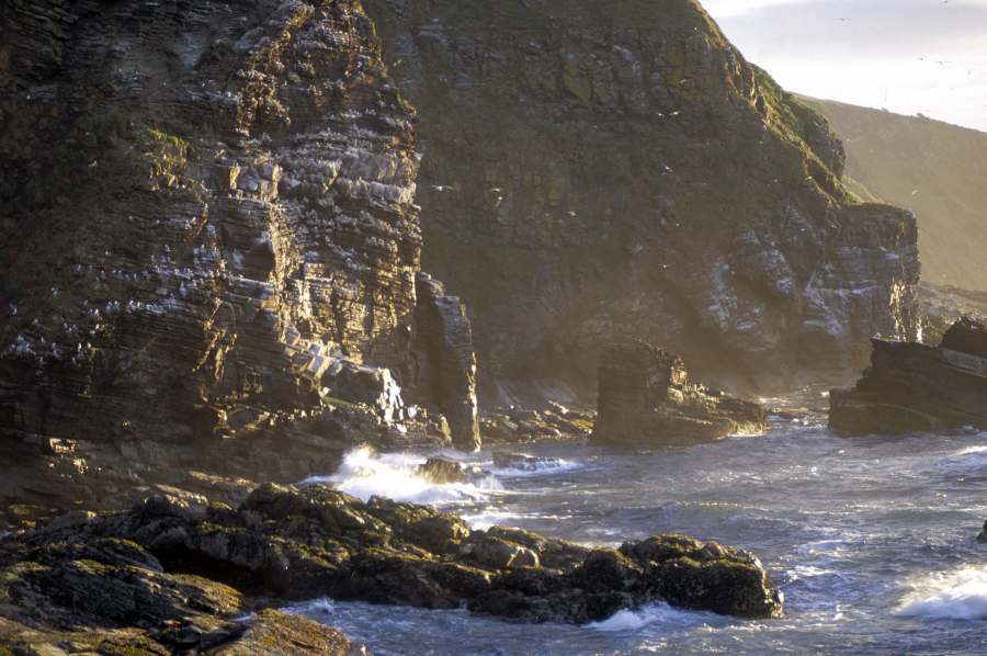 Photo: Cliffs At Dawn - Berriedale
