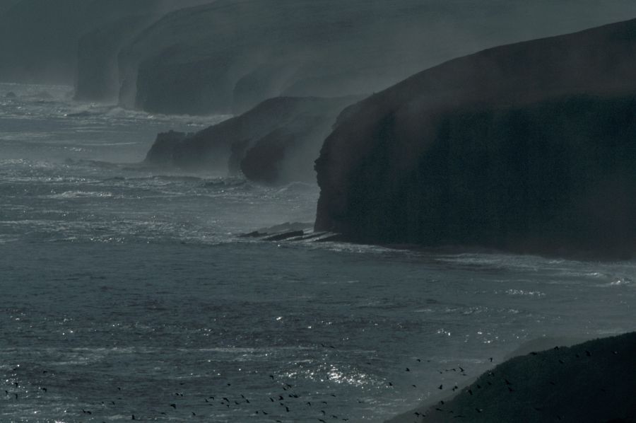 Photo: Misty Coastline