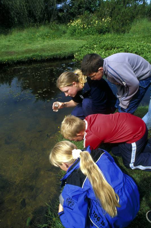 Photo: Pond Dipping 1
