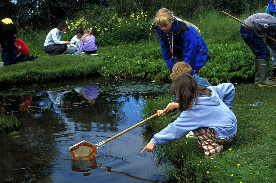 Photo: Pond Dipping 2