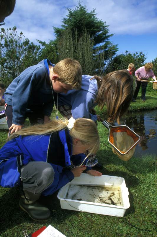 Photo: Pond Dipping 3