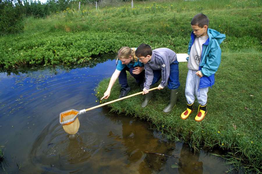 Photo: Pond Dipping 4