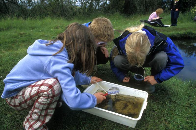 Photo: Pond Dipping 6