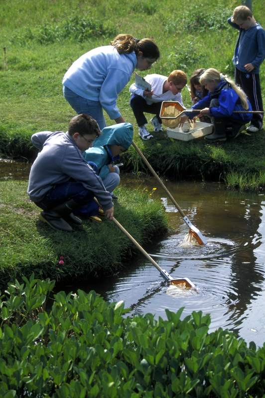 Photo: Pond Dipping 7