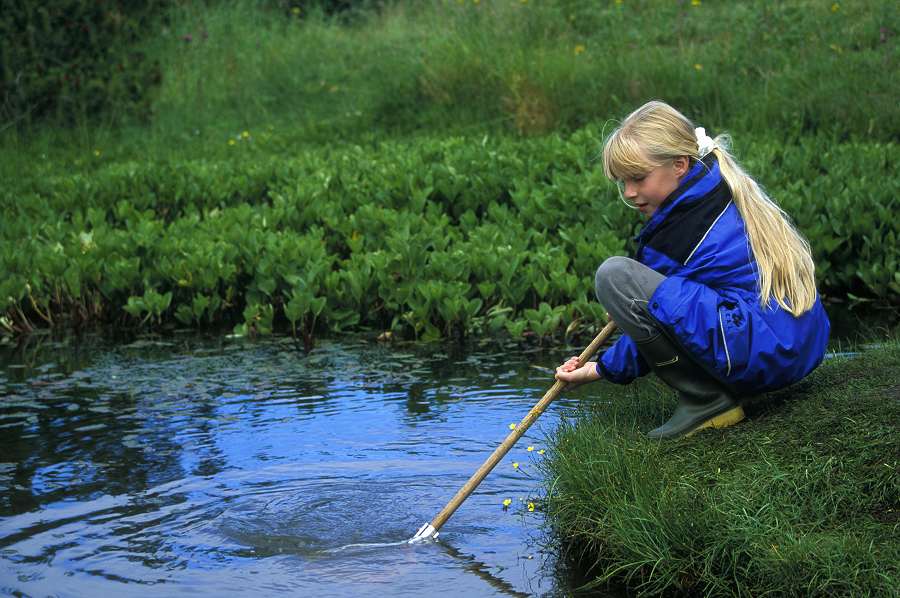 Photo: Pond Dipping 8