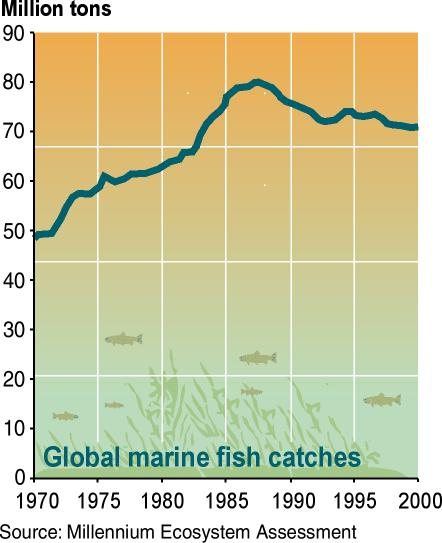 Photo: Global Marine Fish Catches 1970 - 2000