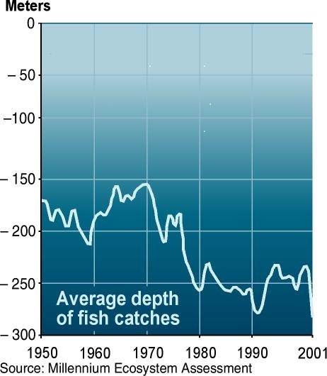 Photo: Average Depth Of Fish Catches 1950 - 2001