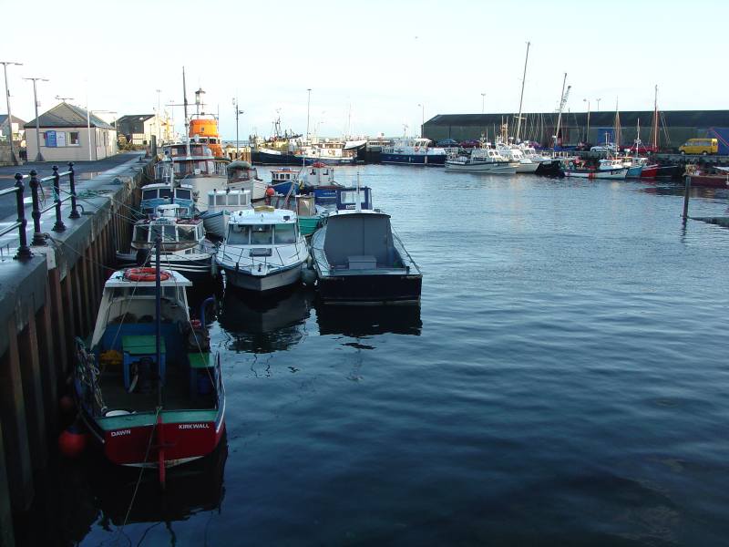 Photo: The Harbour