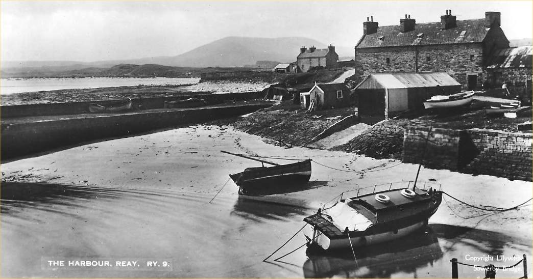 Photo: The Harbour, Reay