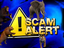 Scams - Don't Get Caught Out