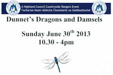Dunnet Dragons and Damsels - A Ranger Event