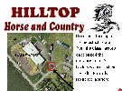hilltop Horses opening 7th December 2013
