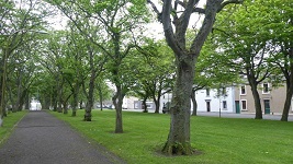 Argyle Square in the Wick Conservation Area