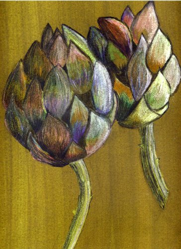 Photo: Artichoke